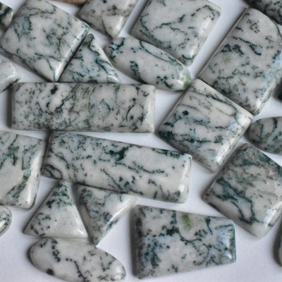 Tree Agate