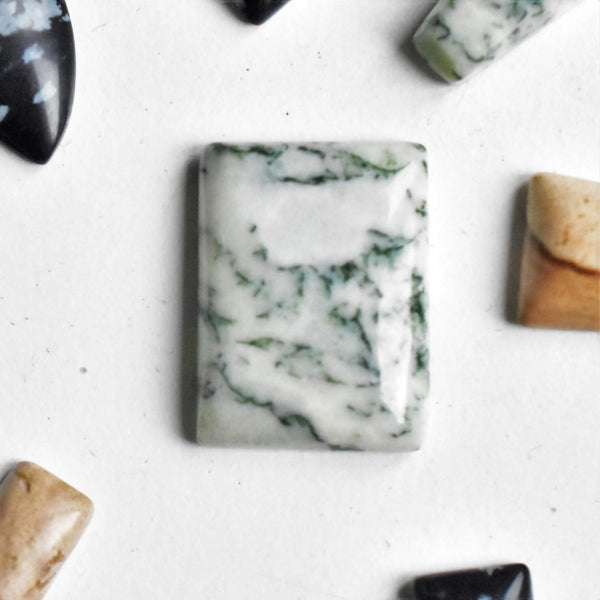 Tree Agate 20x15mm Rectangular Loose Gemstone Cabochon